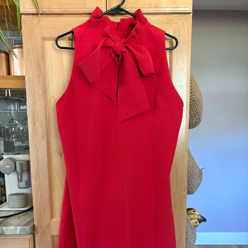 Tuckernuck Red Ruffle Neck Mini Dress - Picture 3 of 7